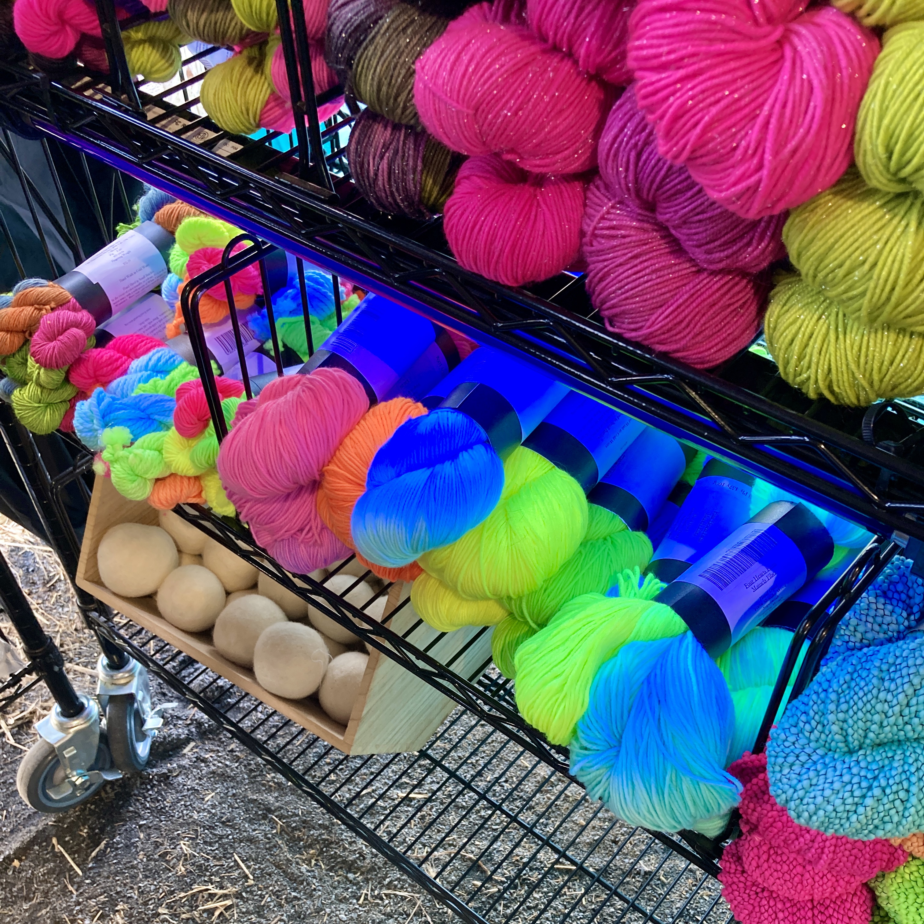 Sight Seeing: New Jersey Sheep & Wool 2025